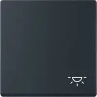 Busch-Jaeger schakelwip symbool licht Future Linear zwart mat (2520 LI-885)