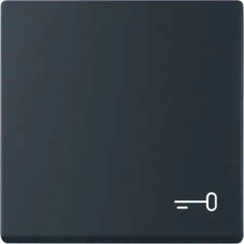 Busch-Jaeger schakelwip symbool sleutel Future Linear zwart mat (2520 TR-885)