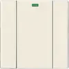 Busch-Jaeger wandzend 1k 6731-82 f/s wl (6731-82-500)