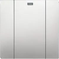 Busch-Jaeger wandzend 1k 6731-866 pss wl (6731-866-500)