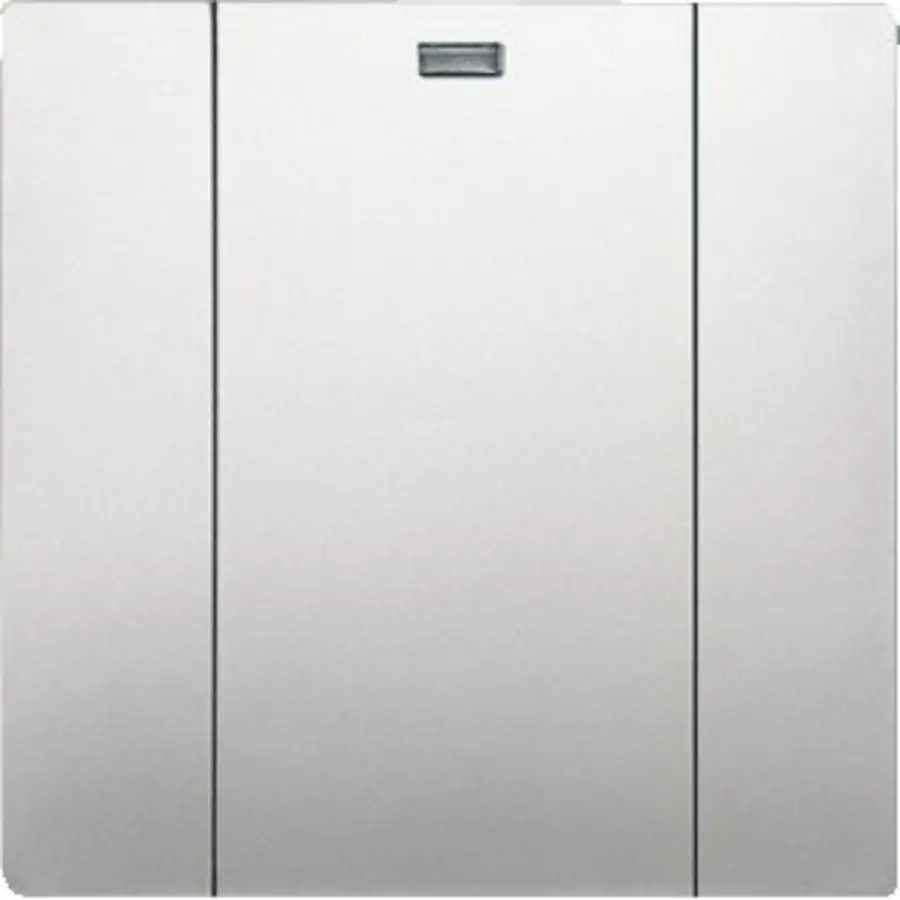 Busch-Jaeger wandzend 1k 6731-866 pss wl (6731-866-500)