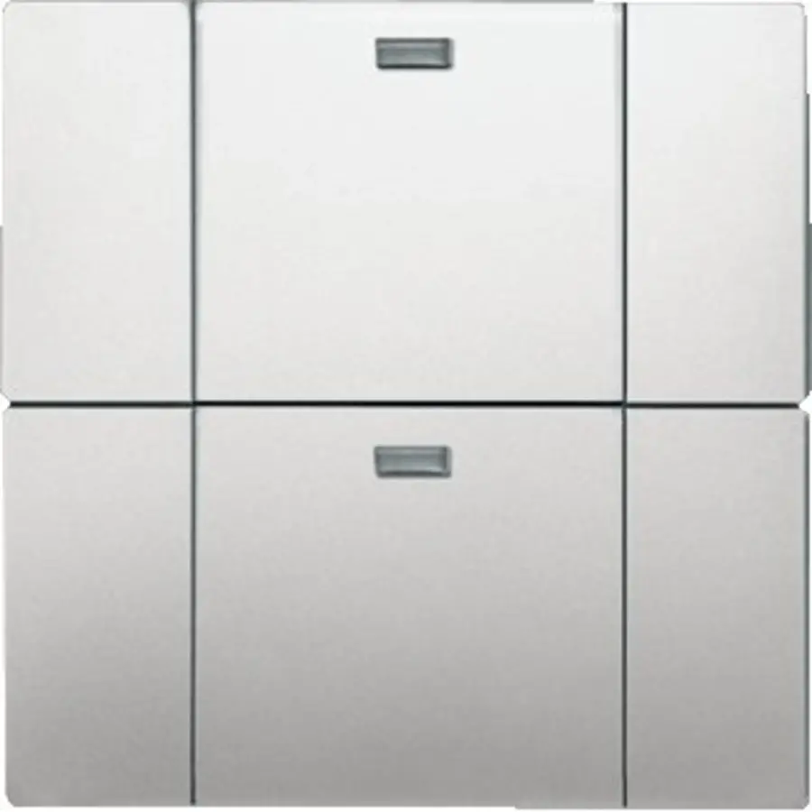 Busch-Jaeger wandzend 2k 6732-866 pss wl (6732-866-500)