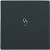 Busch-Jaeger bedieningswip 1-voudig met symbool dimmer Future Linear antraciet glans (6234-10-81)