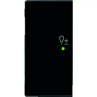 Busch-Jaeger bedieningswip links symbool dimmer tbv bedieningselement flex 2-voudig Future Linear antraciet glans (6234-21-81)