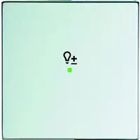 Busch-Jaeger bedieningswip 1-voudig met symbool dimmer Future Linear aluzilver (6234-10-83)