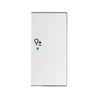 Busch-Jaeger bedieningswip rechts symbool dimmer tbv bedieningselement flex 2-voudig Future Linear aluzilver (6234-22-83)