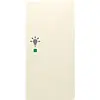 Busch-Jaeger bedieningswip rechts symbool licht tbv bedieningselement flex 2-voudig Future Linear creme glans (6231-22-82)