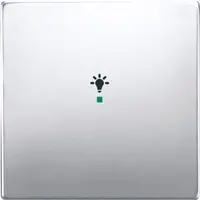 Busch-Jaeger bedieningswip 1-voudig met symbool licht Pure Stainless Steel (6231-10-866)