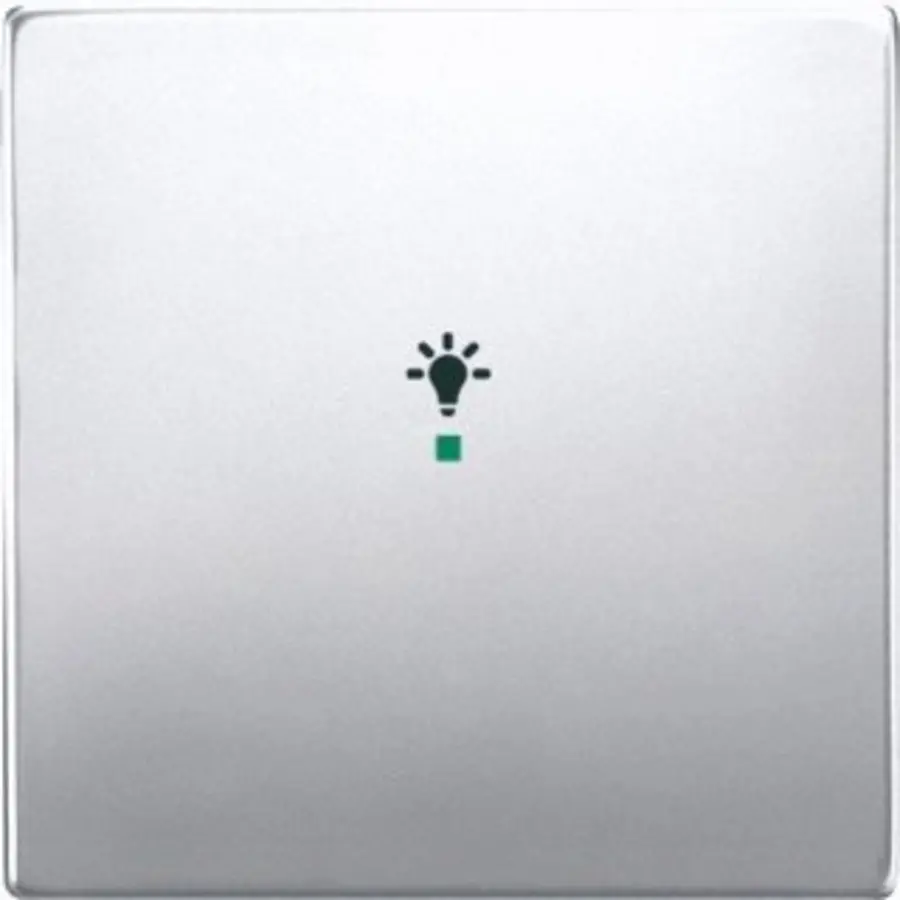 Busch-Jaeger bedieningswip 1-voudig met symbool licht Pure Stainless Steel (6231-10-866)