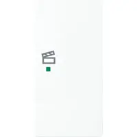 Busch-Jaeger bedieningswip rechts symbool scene tbv bedieningselement flex 2-voudig Future Linear studiowit mat (6233-22-884)