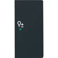 Busch-Jaeger bedieningswip rechts symbool dimmer tbv bedieningselement flex 2-voudig Future Linear zwart mat (6234-22-885)