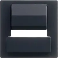 Busch-Jaeger cpl powerdock f-matzwart (6477-885)
