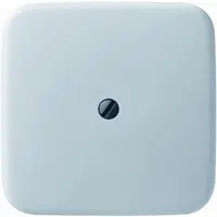 Busch-Jaeger inz telf inb si (2536-212)