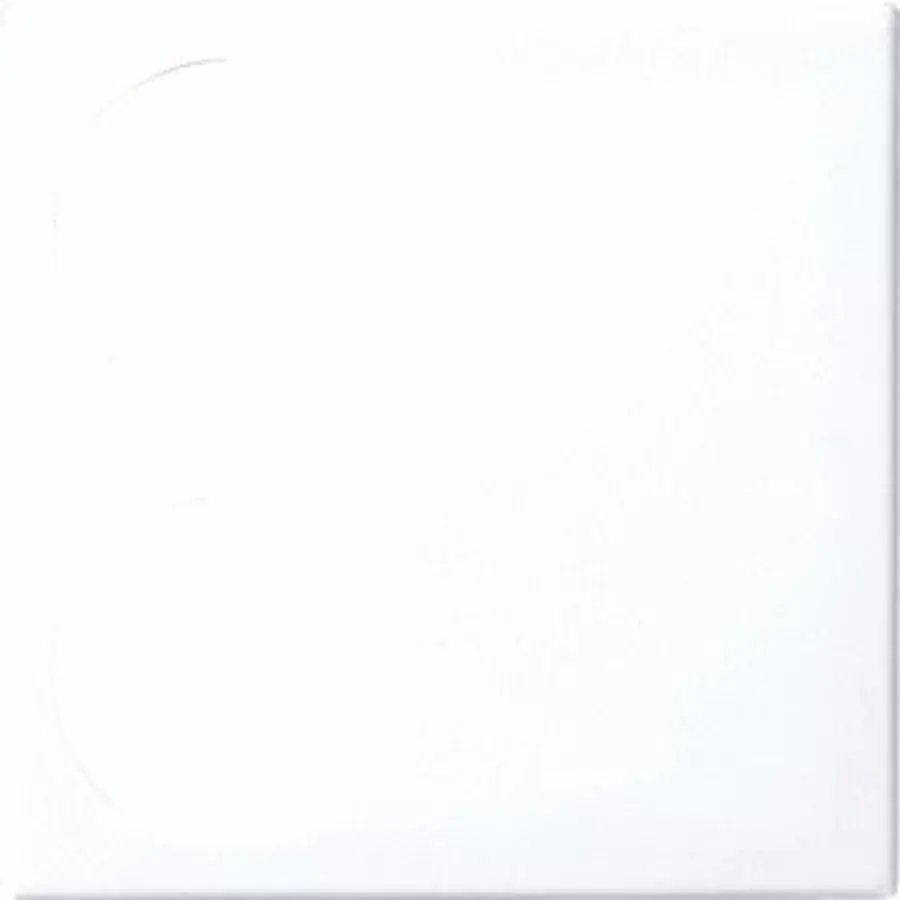 Busch-Jaeger centr plaat 1710-0-4073 (1790-592-914)