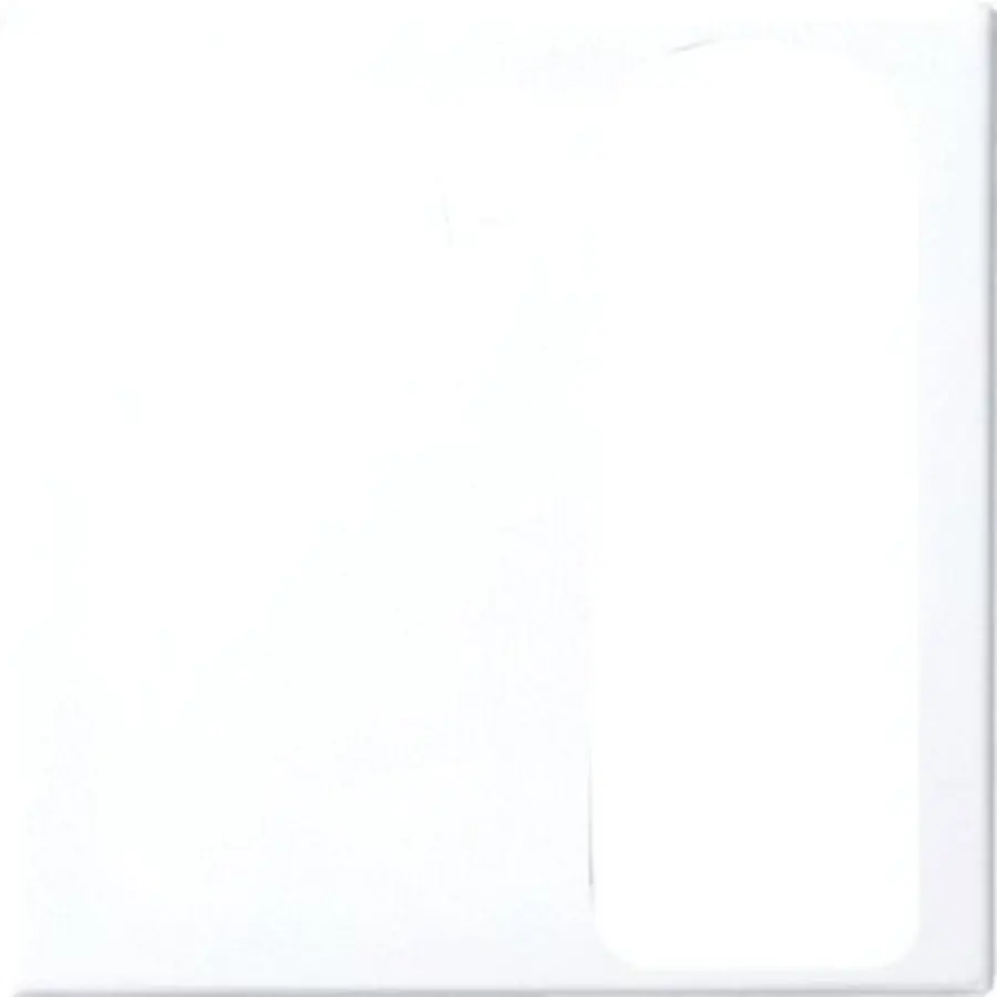 Busch-Jaeger centr plaat 1710-0-4075 (1790-594-914)