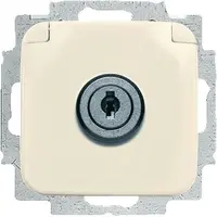 Busch-Jaeger wcd ra sl g 20euksl-212 si (20 EUKSL-212-101)