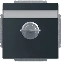 Busch-Jaeger tekstwcd cpl kd+slot matzw (20 EUKNBSL-885)