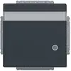 Busch-Jaeger tekstwcd kd cpl led inb ant (20 EUKNBL-81)