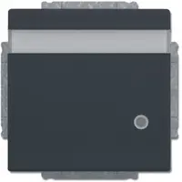 Busch-Jaeger tekstwcd kd cpl led inb ant (20 EUKNBL-81)