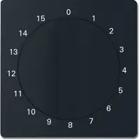 Busch-Jaeger centraalplaat met draaigreep tijdschakelaar 15 min Future Linear zwart mat (1770-885-103)