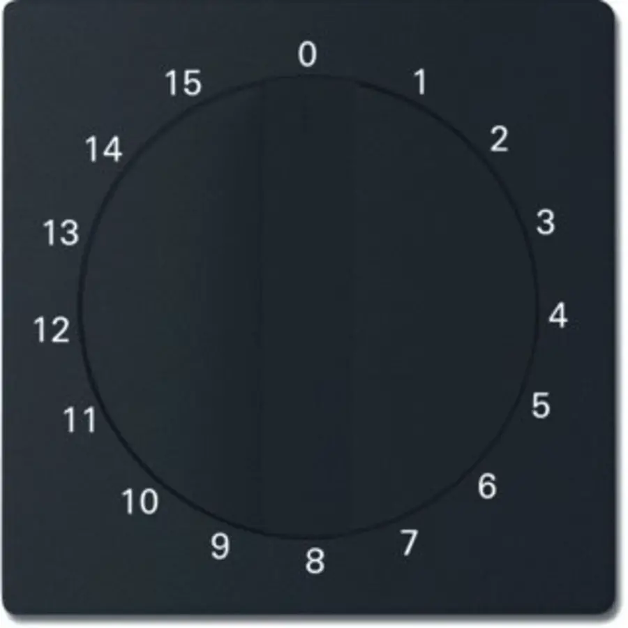 Busch-Jaeger centraalplaat met draaigreep tijdschakelaar 15 min Future Linear zwart mat (1770-885-103)