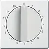 Busch-Jaeger centraalplaat met draaigreep tijdschakelaar 15 min Future Linear studiowit mat (1770-884-103)