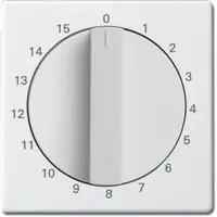 Busch-Jaeger centraalplaat met draaigreep tijdschakelaar 15 min Future Linear studiowit mat (1770-884-103)