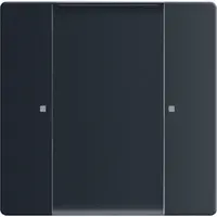 Busch-Jaeger radiofreq 2cka006730a0119 (6735/01-885)