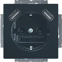 Busch-Jaeger wandcontactdoos randaarde kindveilig met 2xUSB Future Linear antraciet glans (20 EUCB2USB-81)