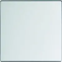Busch-Jaeger Friends of Hue bedieningswip 1-voudig Future Linear aluzilver (6735 BT-83)