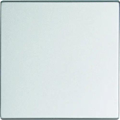 Busch-Jaeger Friends of Hue bedieningswip 1-voudig Future Linear aluzilver (6735 BT-83) Busch-Jaeger Friends of Hue bedieningswip 1-voudig Future Linear aluzilver (6735 BT-83)