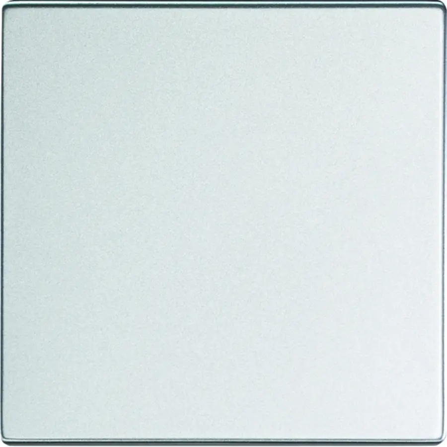 Busch-Jaeger Friends of Hue bedieningswip 1-voudig Future Linear aluzilver (6735 BT-83)