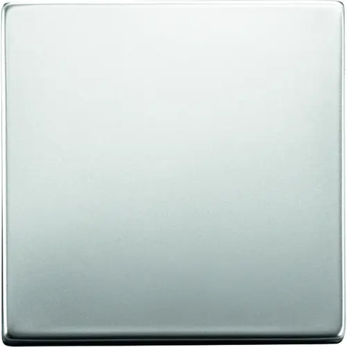 Busch-Jaeger pure stainless steel bed.element / centr.pl. schakelmat. (6735 BT-866)
