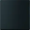 Busch-Jaeger Friends of Hue bedieningswip 1-voudig Future Linear zwart mat (6735 BT-885) Busch-Jaeger Friends of Hue bedieningswip 1-voudig Future Linear zwart mat (6735 BT-885)