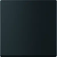 Busch-Jaeger Friends of Hue bedieningswip 1-voudig Future Linear zwart mat (6735 BT-885)