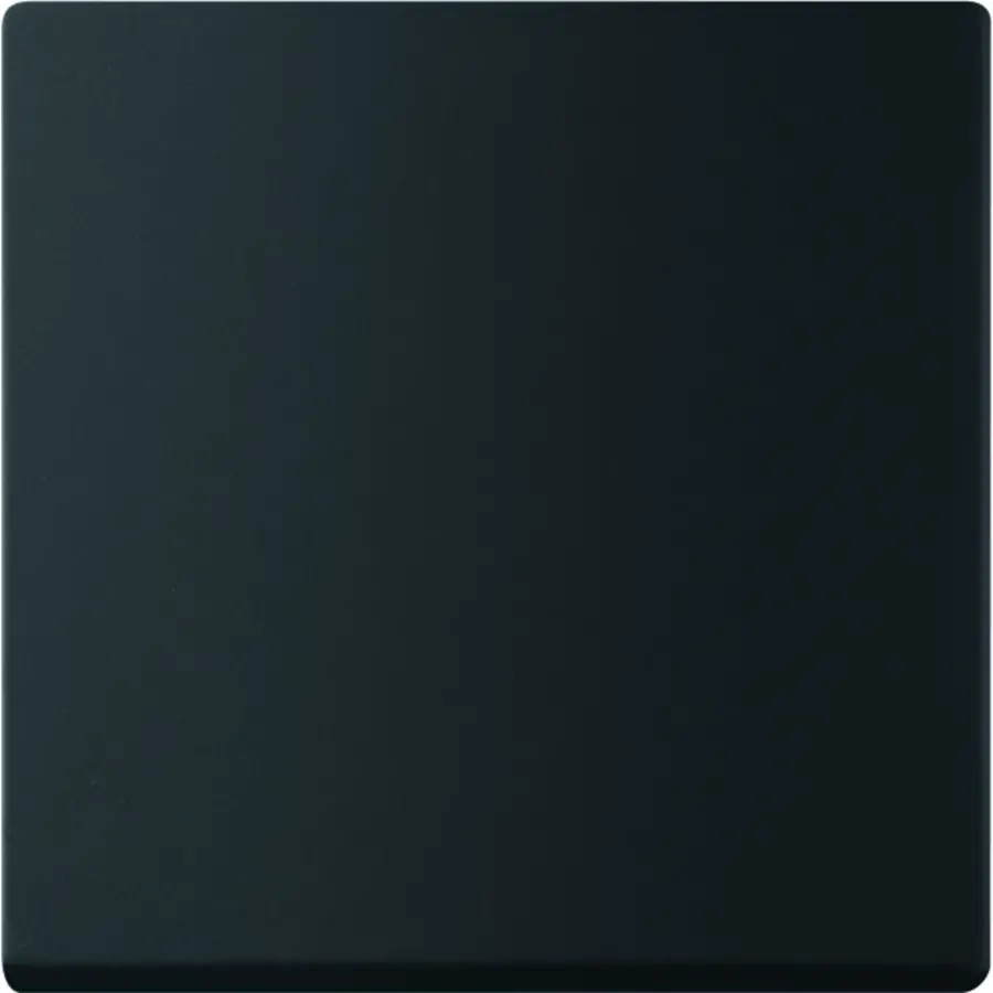 Busch-Jaeger Friends of Hue bedieningswip 1-voudig Future Linear zwart mat (6735 BT-885)