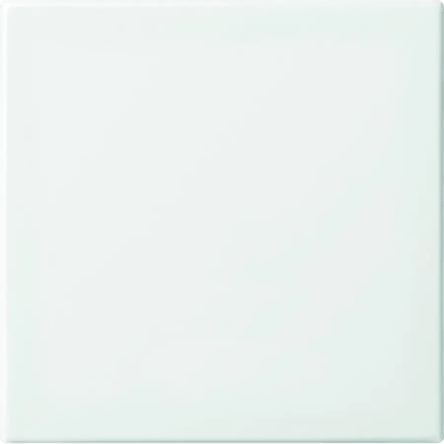 Busch-Jaeger Friends of Hue schakelwip 1-voudig Balance SI wit glans (6735 BT-914)