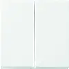 Busch-Jaeger Friends of Hue schakelwip 2-voudig Balance SI (6736 FOH-914)