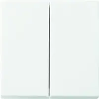 Busch-Jaeger Friends of Hue schakelwip 2-voudig Balance SI (6736 FOH-914)