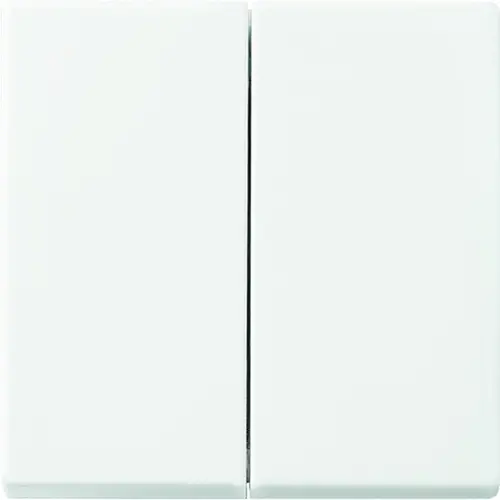 Busch-Jaeger Friends of Hue schakelwip 2-voudig Balance SI (6736 FOH-914)