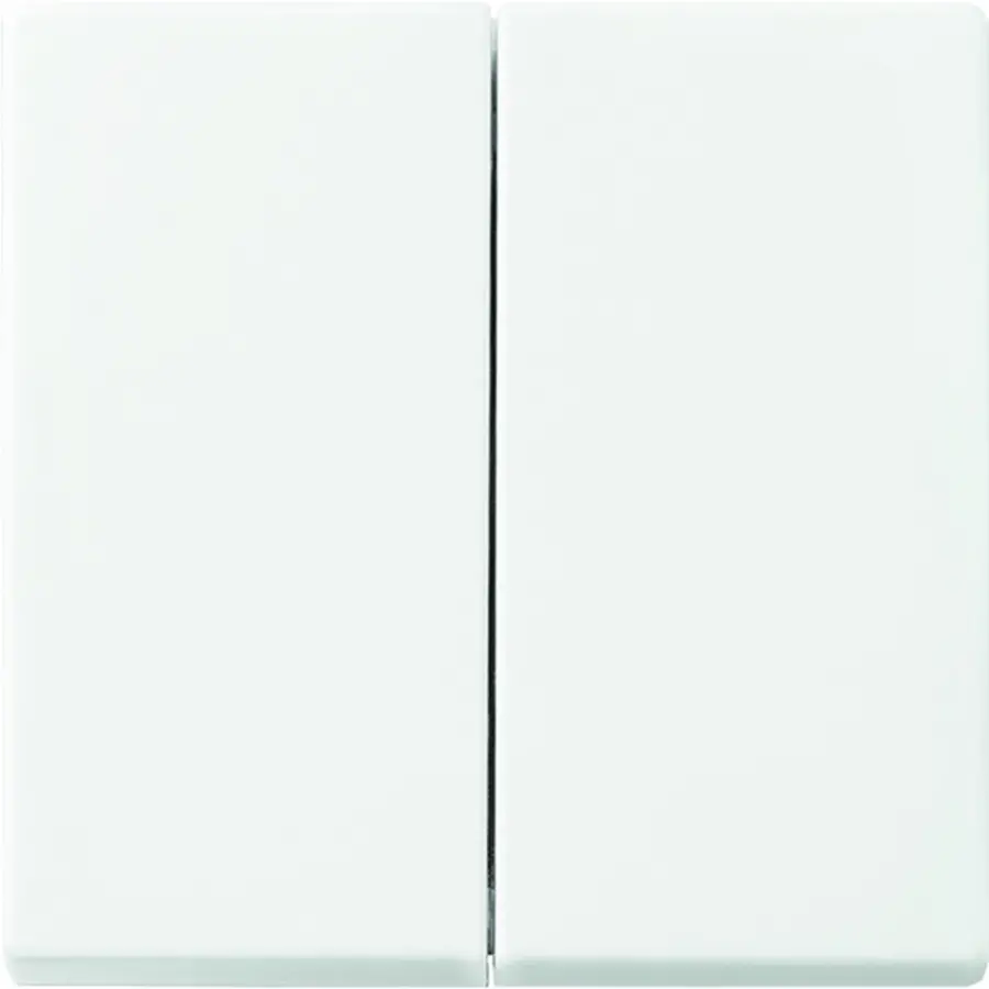 Busch-Jaeger Friends of Hue schakelwip 2-voudig Balance SI (6736 FOH-914)