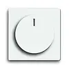 Busch-Jaeger axcent bed.element / centr.pl. schakelmat. (6540-84-102-510)