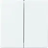 Busch-Jaeger foh-bedieningswip dubbel futur (6736/10-84)