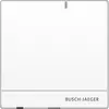 Busch-Jaeger rf/ip gateway access control (RF/IP GATEWAY)