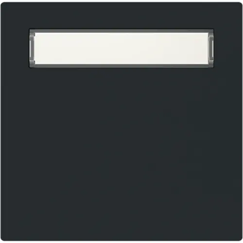 Busch-Jaeger schakelwip met tekstkader Art Linear zwart mat (1764 N-45M)