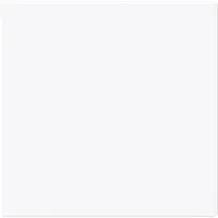 Busch-Jaeger schakelwip Art Linear studiowit glans (1786-44G)