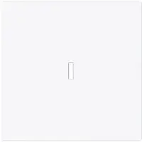 Busch-Jaeger schakelwip controlevenster Art Linear studiowit glans (1789 N-44G)