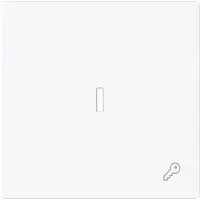 Busch-Jaeger schakelwip met controlevenster en symbool sleutel Art Linear studiowit glans (1789 TR-44G)