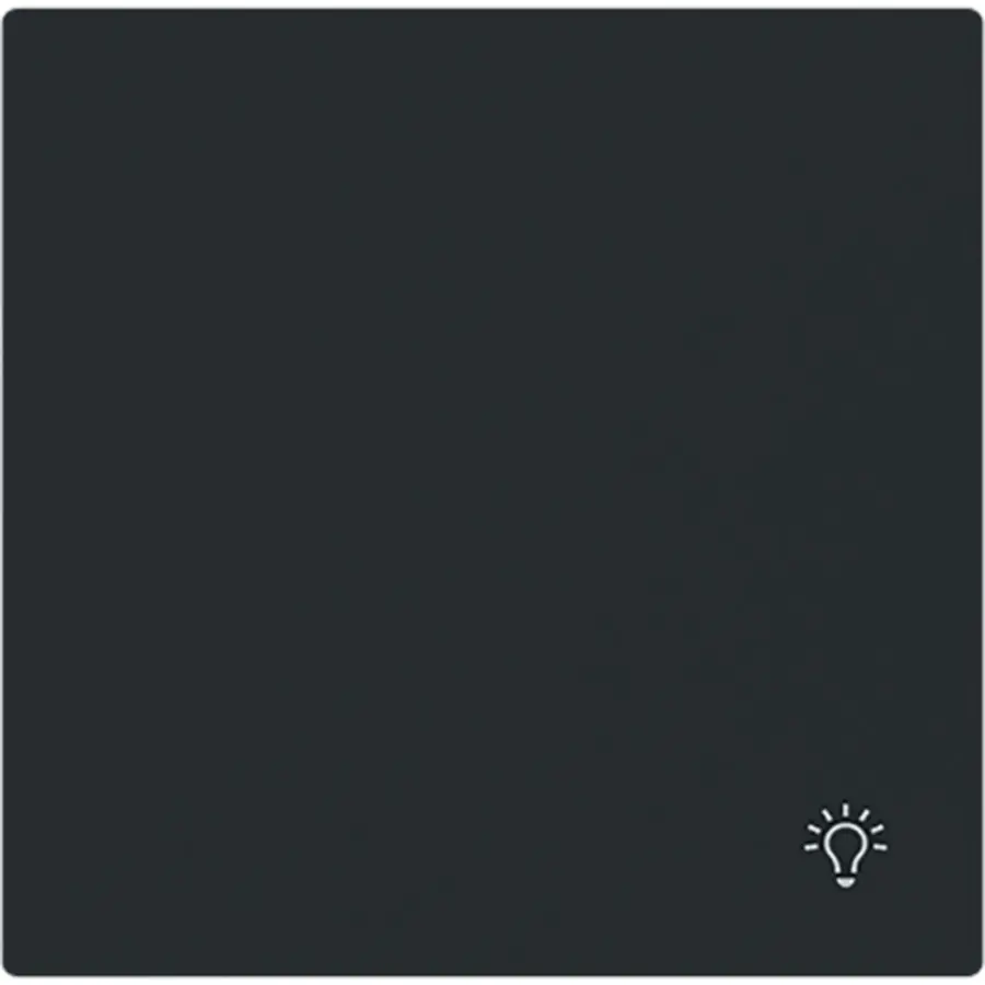 Busch-Jaeger schakelwip symbool licht Art Linear zwart mat (2520 LI-45M)