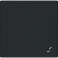 Busch-Jaeger schakelwip symbool sleutel Art Linear zwart mat (2520 TR-45M)